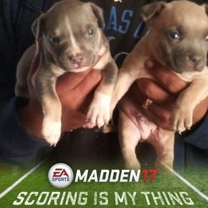 Meet your Posher, Jeff